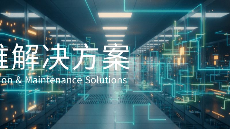 IT外包服务按人天报价：揭秘其背后的逻辑与考量**