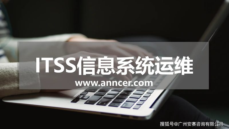 政府项目系统集成商选型：合规与能力的双重考量**